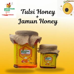 Tulsi Honey 1Kg + Jamun Honey-250gm
